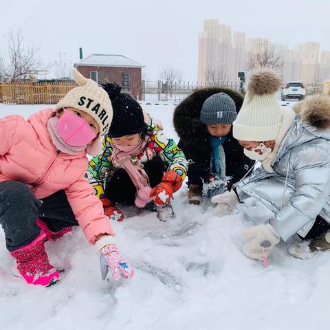 卓越幼儿园中一班11月第二周活动掠影