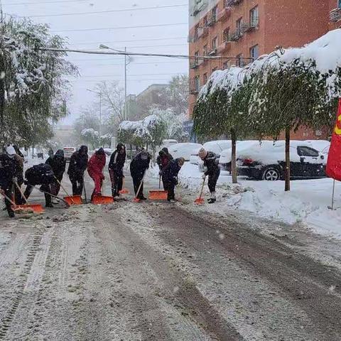 合金社区除雪总动员 为民服务我先行