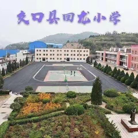 “除草护绿、清洁校园”———回龙小学劳动实践活动