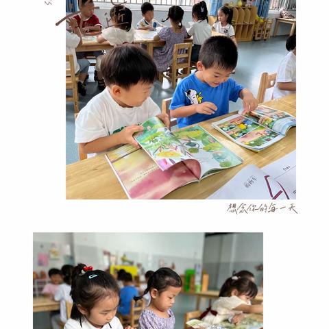 临港实验幼儿园新教育生命叙事系列展播——悦读的“小朵朵”