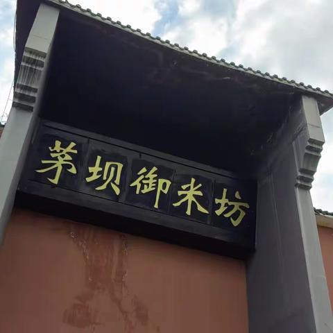 “泥巴”里的两位董事长