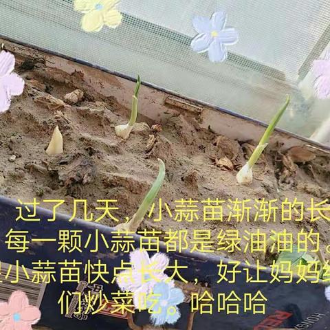 路紫柔的美篇