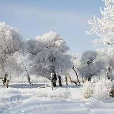 下雪   跑冰排   封河