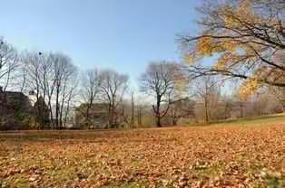 秋风吹起的早晨