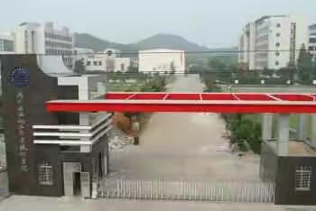 拾一朵白郁金香，忆一段似水流年