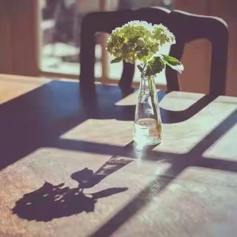 透过现象看本质