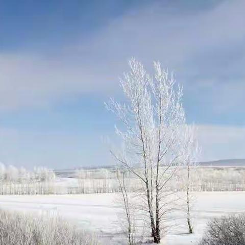 我的故乡——陇东塬上