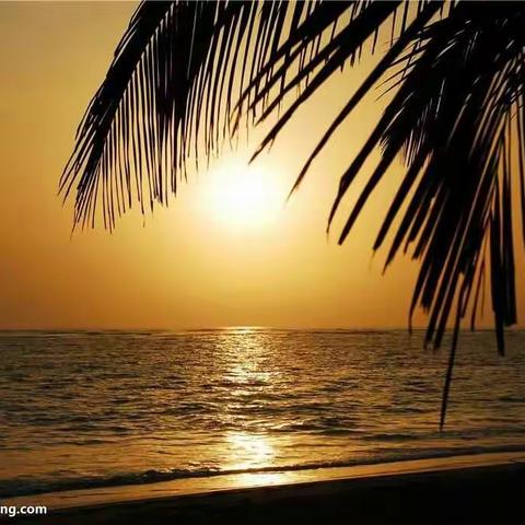 昨夜，灯下一只蝴蝶