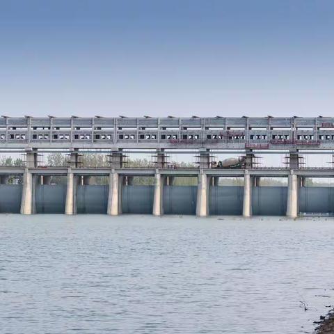 最后的北汝河放鹰人