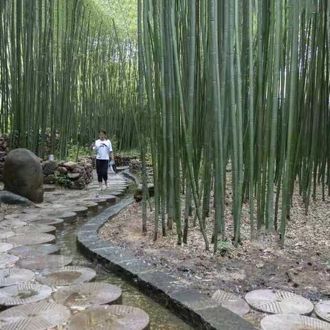 中国十大最美乡村竹泉村行摄游之（一）----风光篇