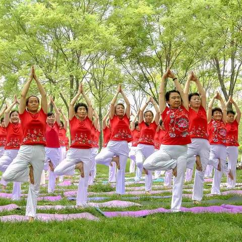 醉美夕阳红              伽丽靓滨州