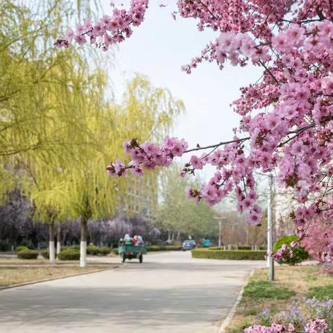 秋天的收获的美篇（副本）