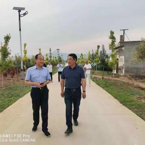 省市站来礼观摩小麦新品种试验示范田