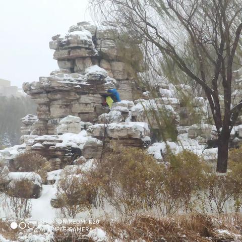 立冬的雪