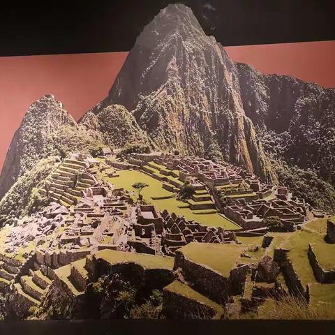 美的分享