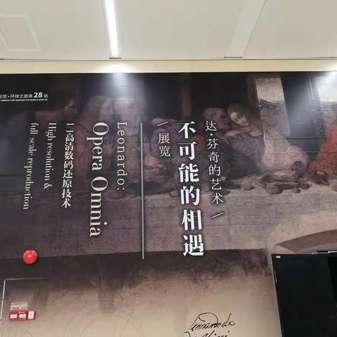 不可能的相遇—达.芬奇的画展
