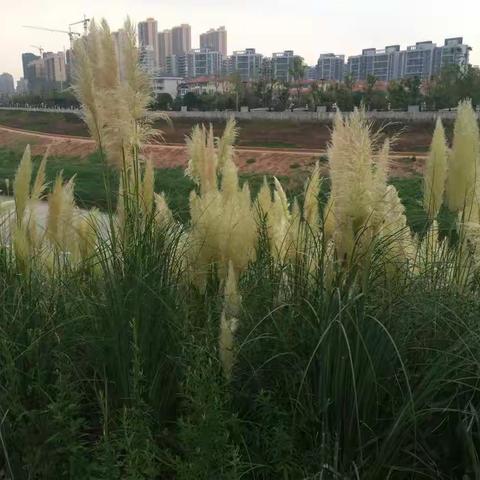 茶余饭后的运动