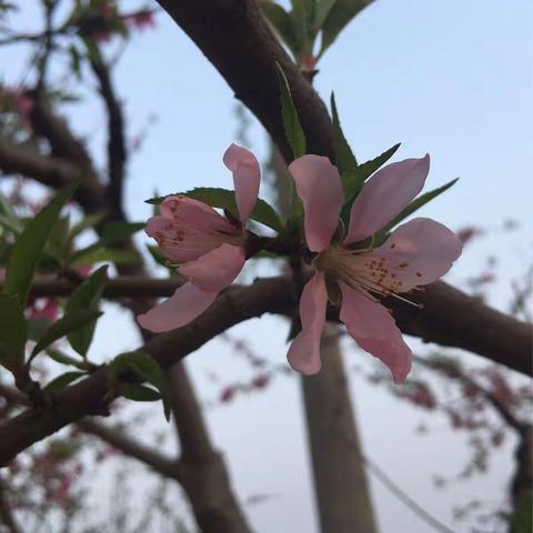 孩子们的周末