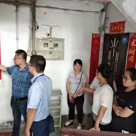 顺利清理藏在小区内的百只鹦鹉