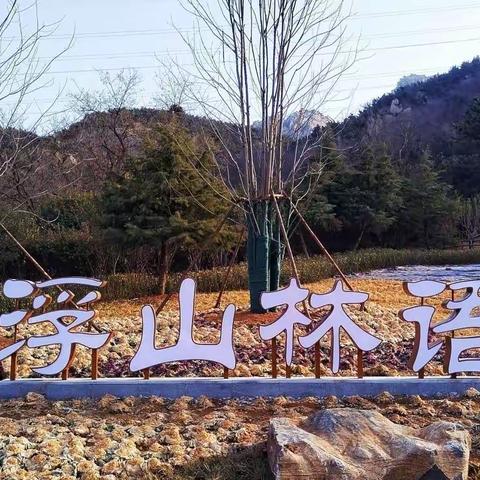 巨变中的【浮山】美景（二）