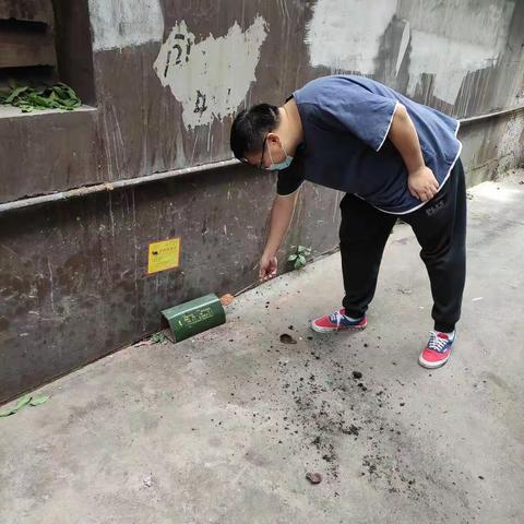 松洲街开展爱国卫生运动简报