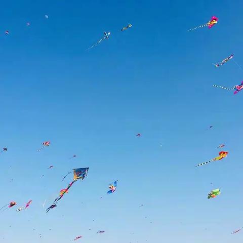 “筝”有约，春不误