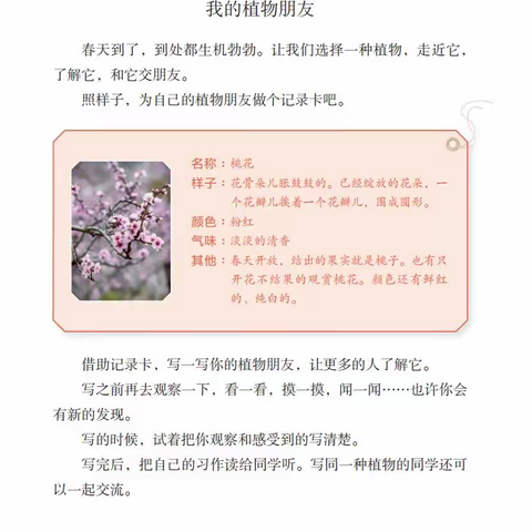 302班优秀作文选（一）