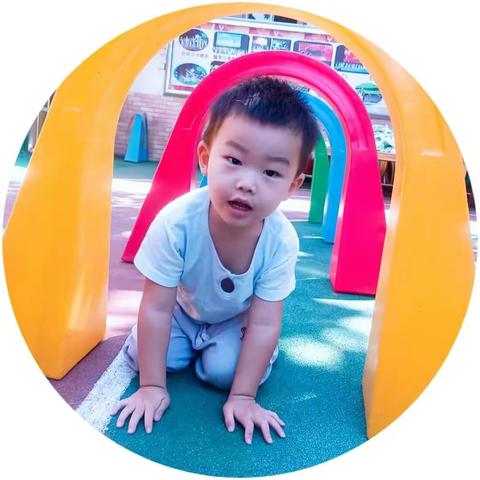 🌻吉福特幼儿园小托班🌻家禾成长记