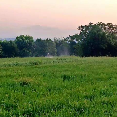 扛起责任，迅速行动——永昌街道坚决打赢“防大旱，抗久旱”攻坚战