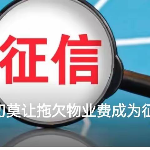 您不交物业费  凭什么说物业服务不到位