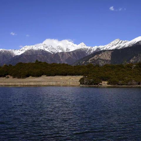 雪山桃花相辉映（二）