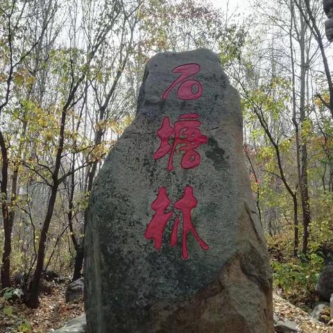 万山红遍，层林尽染。