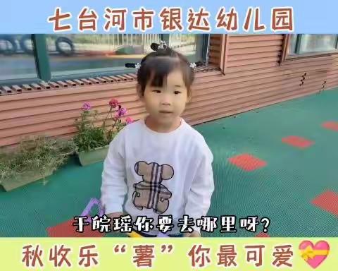 亲近自然之挖土豆活动——银达幼儿园中班