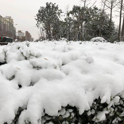 与雪共舞，畅游天地间