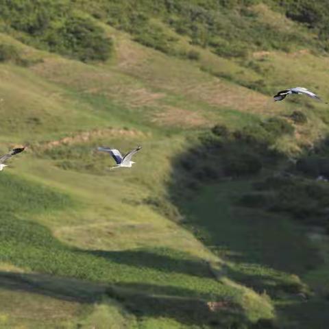 走近娄儿上――记2019年夏古交摄影协会采风活动