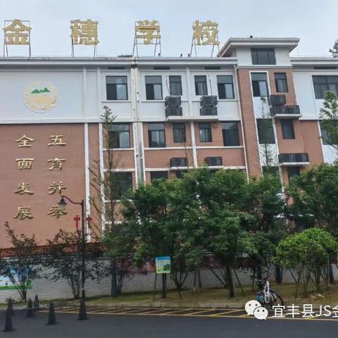 校园有托管  周末更精彩—— 宜丰金穗学校小学周末托管精彩持续