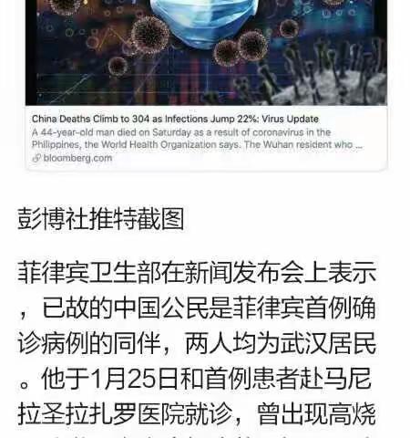 刘晨语文寒假作业――冠状病毒美篇