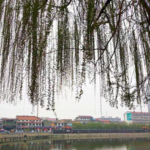 闻喜也是春天了，只不过灰蒙蒙，阴沉沉，2018这么快，转眼，已经三分之一！