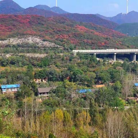 老家，永远是心中最美的风景。