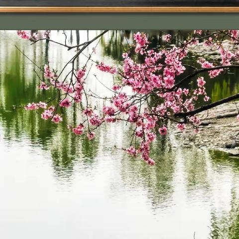 清明节踏青