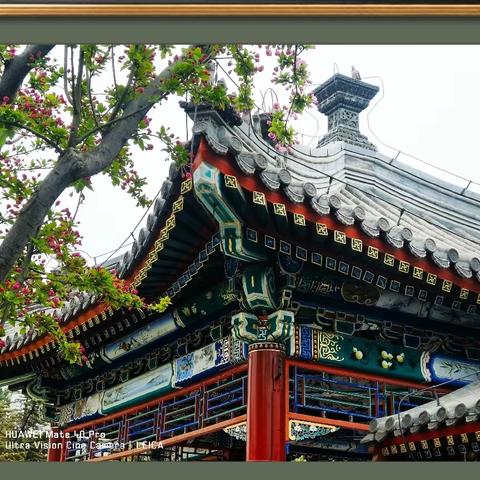 姹紫嫣红天坛景