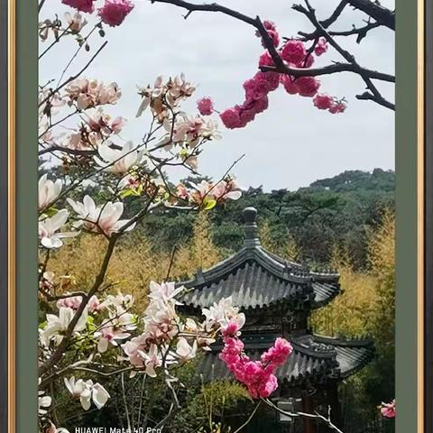 红螺寺踏青