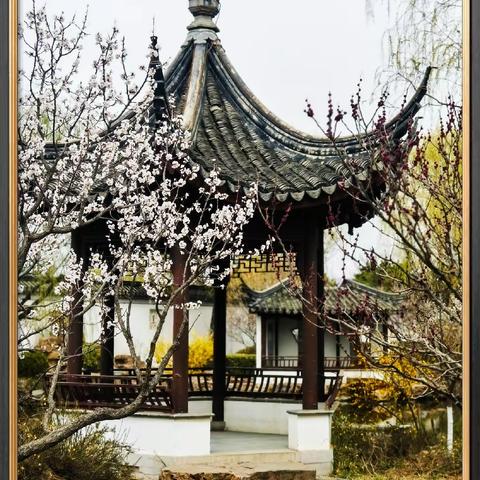春色撩人只供醉