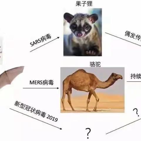 保护自然，敬重生命——杨凌高新第二小学三年开学第一课教育活动