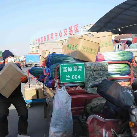 复商复市 兰州高原夏菜批发中心供销两旺，交易红火