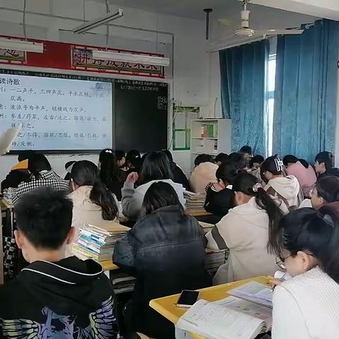 赏《关雎》之雅韵，在反思中教学 ——郏县第三实验中学语文组听评课活动