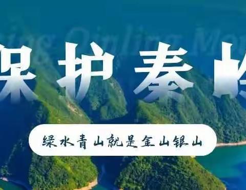 代王街道持续推进秦岭生态环境保护工作