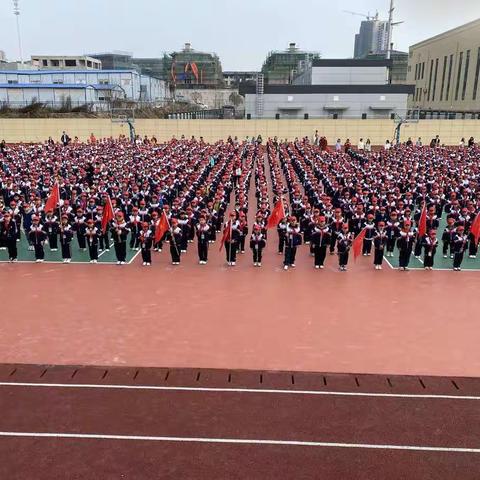 “爱绿护绿，保护自然”——石鼓区都司街碧桂园小学三年级少先队员在行动！