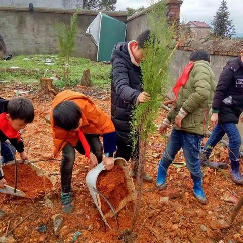 我为校园添把绿-----戴村小学植树活动