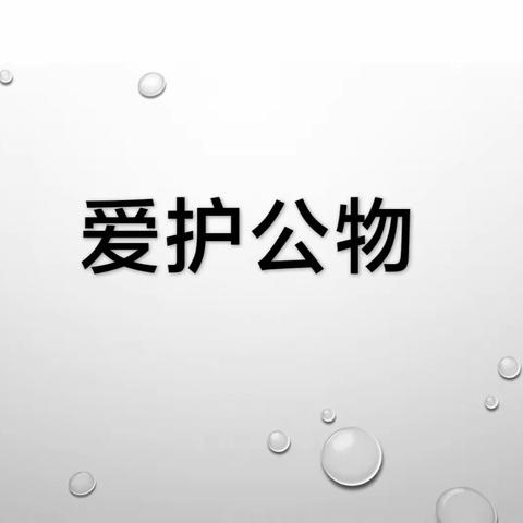 【宫尹小学】开展“爱护公物，你我同行”主题活动